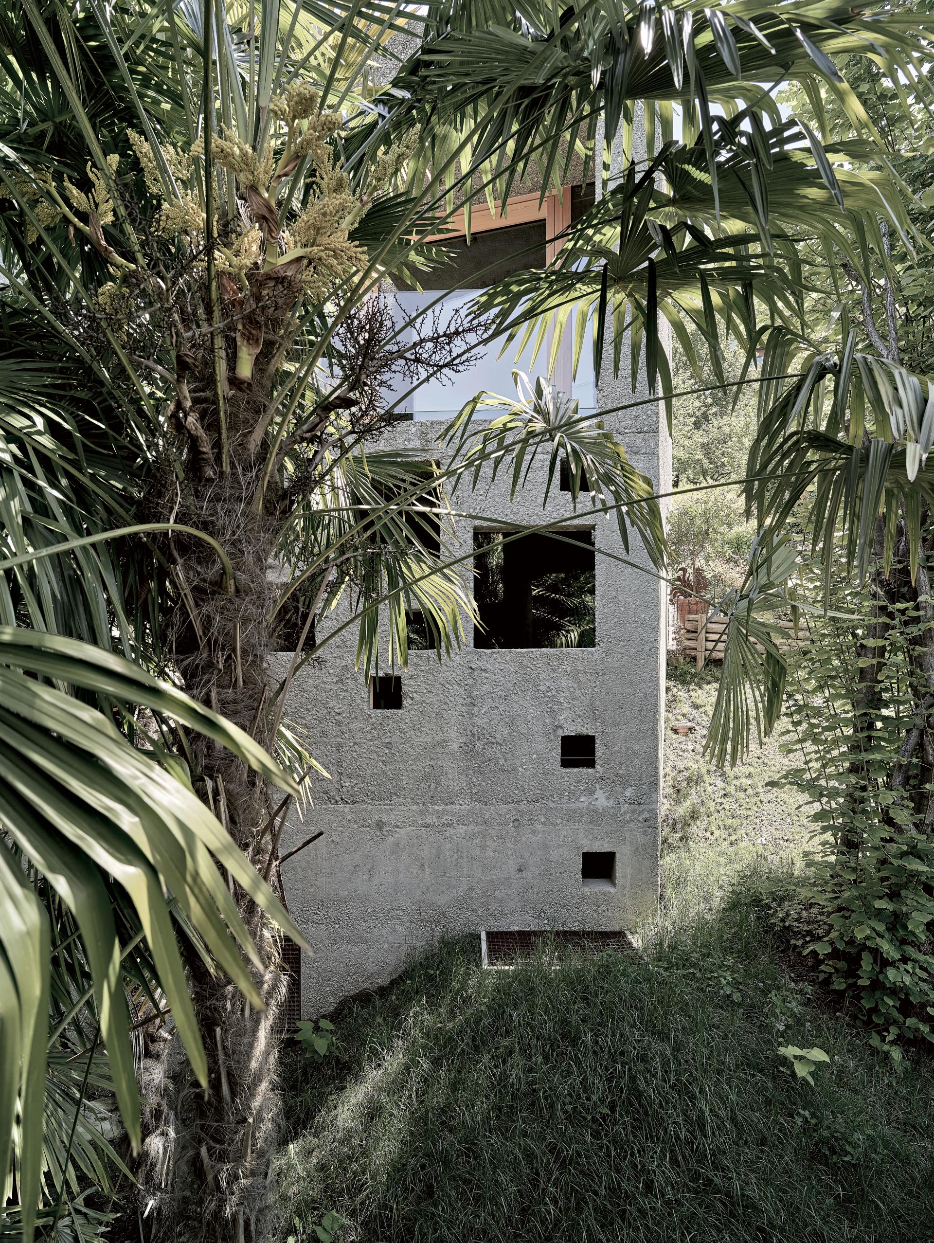 Maison de Meuron Caviano
