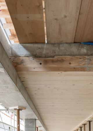 Bois et béton en combinaison